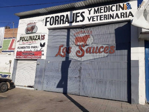 Bodega Comercial En Renta Colonia Tierra Y Libertad