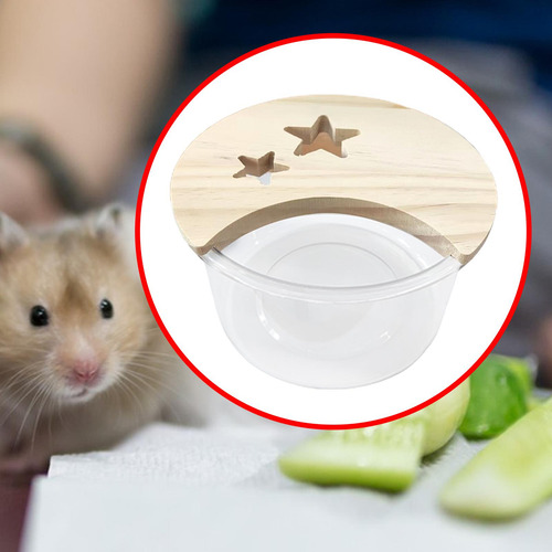 Caja De Baño De Arena Para Hámster, Redondo Pequeño