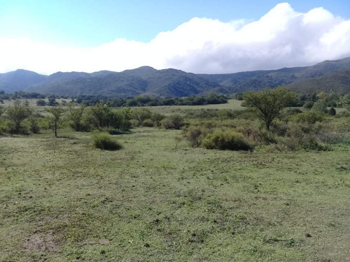 Imagen 7 de 11 de Vendo Campo 2ha Con Casa 100m2 - Los Reartes - Cordoba