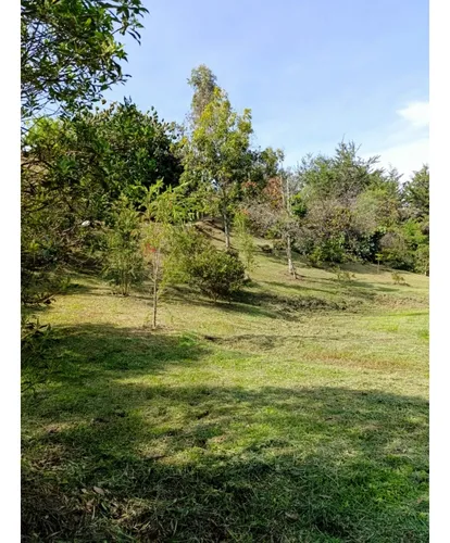 Lote Sector Las Cuchillas, Rionegro