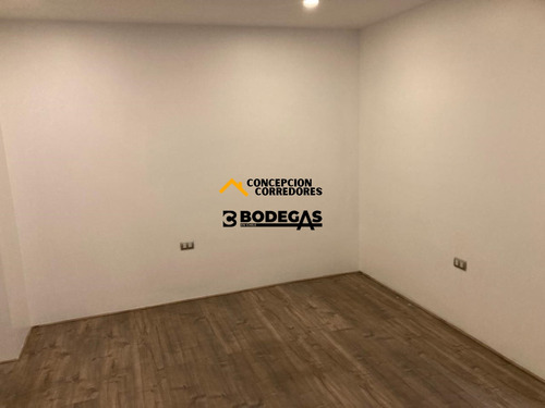 Arriendo Bodega C/of De 234 M2 En Ruta Los Libertadores.