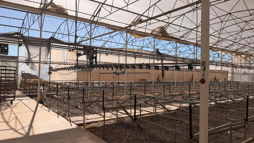 Centro Productivo Agroindustrial En Buin