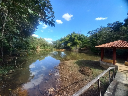 Fazenda Com Ótima Localização