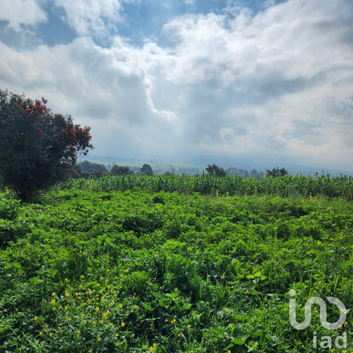 Venta Terreno 0 Ambiente San Antonio Zoyatzingo