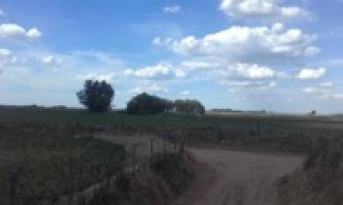 Imagen 11 de 14 de Venta Campo Bragado 160 Has