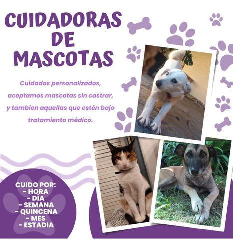 Cuidadora De Mascotas Perros, Gatos, Petsitter Buenos Aires 