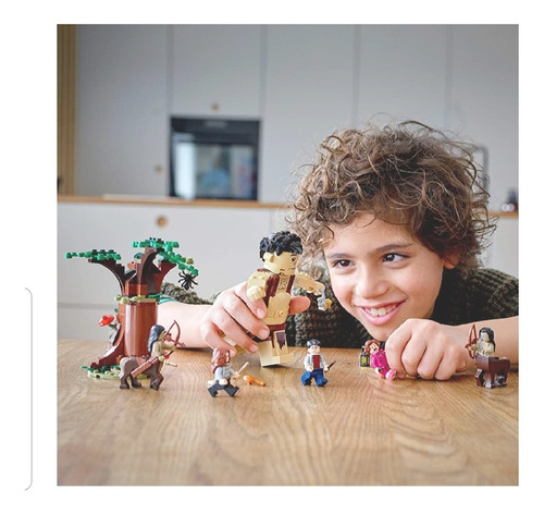 Lego 75967: Harry Potter Forbidden Forest. Umbrige Encounte 253