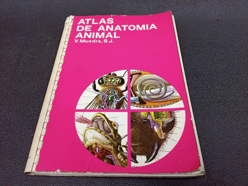 Mercurio Peruano: Libro Atlas Anatomia Animal L192