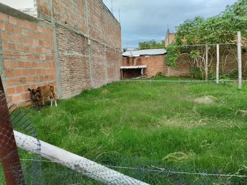 Vendo Espectaculares Lotes Contiguos En Rozo