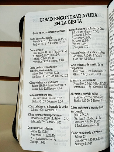 Imagen 8 de 8 de Biblia Rvr1960 Let Gde Imit Piel León Café Cierre Con Índice