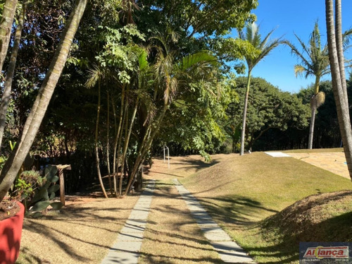 Imagem 14 de 15 de Chacara Para Venda No Bairro Usina Guaraiúva Em Vargem - Cod: Ai24263 - Ai24263