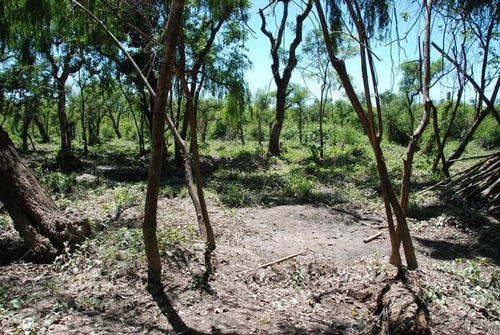 Imagen 10 de 12 de Venta Lote -dos Ríos Delta Tigre