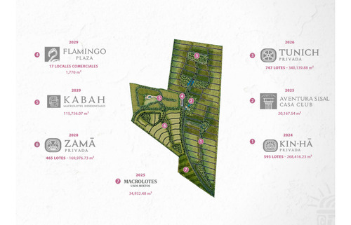 Lotes En Venta En Gran Nikte Privada Zama , A 10 Minutos De Playa Sisal