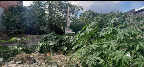 Imagem 1 de 5 de Terreno À Venda Na Rua Ermelino Matarazzo, Jardim Do Vale, Itaquaquecetuba - Sp - Liv-11796
