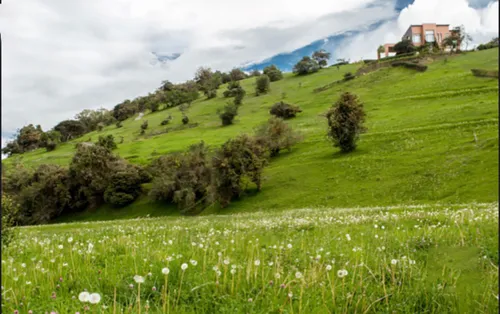Lote En Venta En Valle Alto, Km 6, La Calera-sopo, Cundinamarca. Cod V1104200