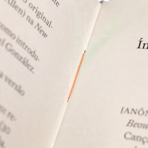 Mecanismos internos: Textos sobre literatura (2000-2005), de Coetzee, J. M.. Selo Ilimitada Editorial Editora Carambaia EIRELI, capa dura em português, 2020
