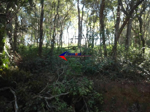 Imagem 4 de 12 de Terreno Em Frente A Represa Ótima Localização Cod.587