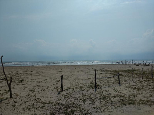 Venta Rancho 100 Hectáreas Sacrificios Tamiahua Veracruz