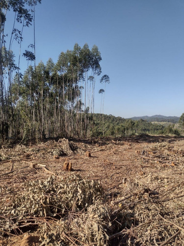 Imagem 7 de 14 de 3- Invista No Certo Terrenos Com Otima Topografia!