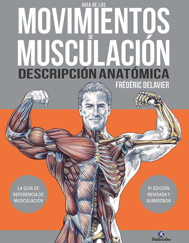Guia De Los Movimientos De Muscuacion Descripcion Anatomica
