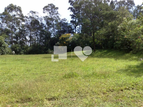 Imagem 9 de 15 de Area - Lomba Do Pinheiro - Ref: 32193 - V-53780541