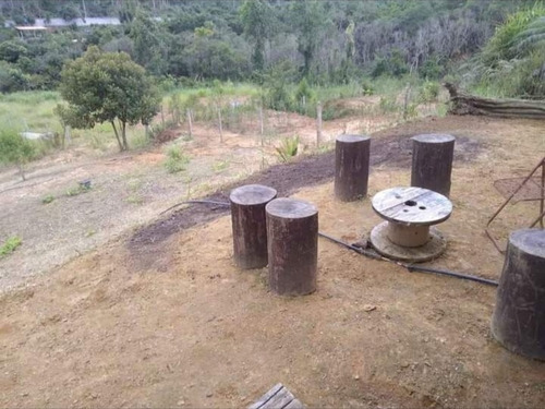 Imagem 7 de 9 de Pj Chácara A Venda Em Quatinga
