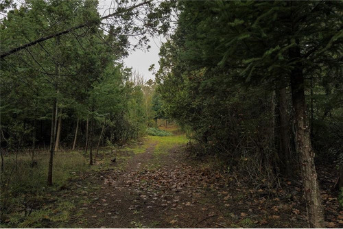 Lote 7,9 Ha Lago Puelo Increíbles Vistas