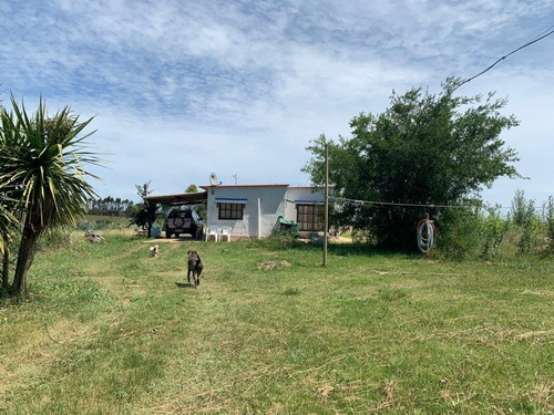 Vendo Muy Linda Chacra Con 3 Casas, 2 Galpones Y Un Parque Arbolado Único!!!!!!!!!!