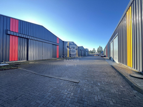 Pronto, Modernas Bodegas En Jaime Repullo