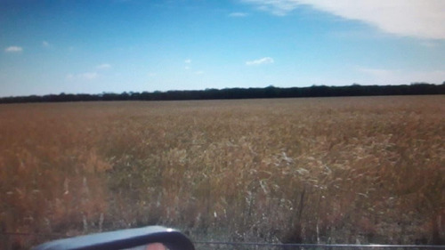 Imagen 4 de 5 de Terreno Campo En Venta Ubicado En Ingeniero Foster, Rancul