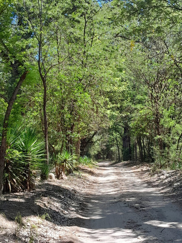 Oportunidad Lote En Venta En El Tajamar Sobre De Ruta 14