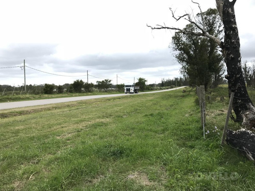 Campo - Manantiales