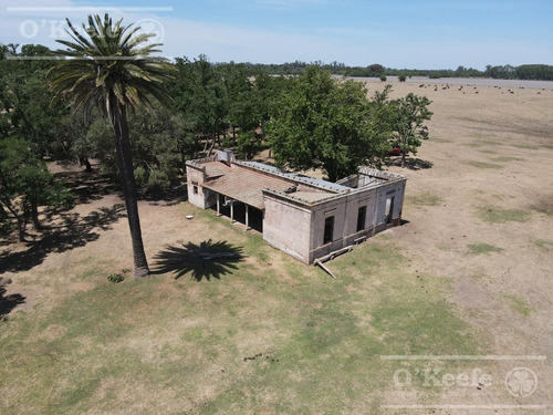 Campo En Venta De 50 Has En Carlos Keen - A 1 Hora De Caba