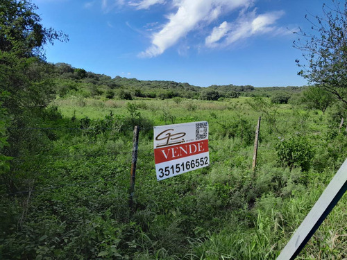 Increíble Campo De 24 Hectáreas En La Granja