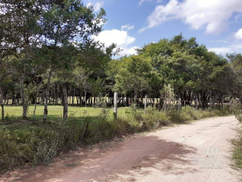 Imagem 6 de 21 de Chácara À Venda, 8500 M² Por R$ 260.000,00 - Zona Rural - São José Dos Pinhais/pr - Ch0060