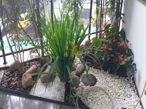 Imagem 26 de 26 de Jardim Oceânico - Avd. Fernando De Matos - Coladinho Ao Metrô. 190m², Reformado, Decorado, 3qtos (1suite) + Dep. , 3 Vagas Demarcadas, Box Na Garagem - Sqa2186c - 34720629