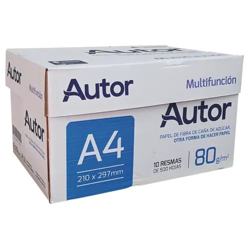 Resmas Autor Ledesma A4 80 Grs Caja X 10 Unidades