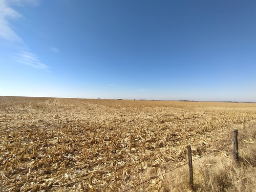 Venta Campo Agrícola Zona Río Cuarto - Córdoba