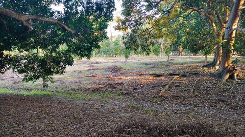 Venta Terreno 5000 M2 Frente Al Estero De Juana Moza Tuxpan Veracruz
