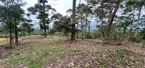 Lote En Venta Ubicado En El Retiro Sector Don Diego (26671).