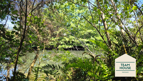 Exclusivas Parcelas Santo Domingo, Valdivia