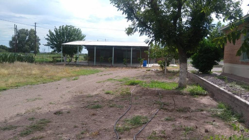Imagen 7 de 11 de Granja Con Casa Y Local En Venta A 2.5 Kilometros De Delicias Carr. A Camargo.