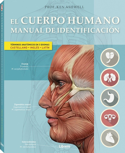 Cuerpo Humano Manual De Identificación Español Inglés Latín
