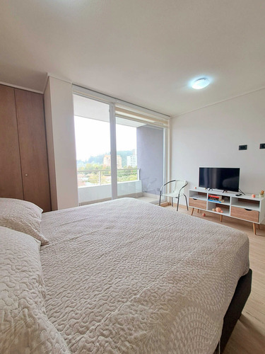 Estupendo Home-studio Amoblado, Centro Ccp. (93046)