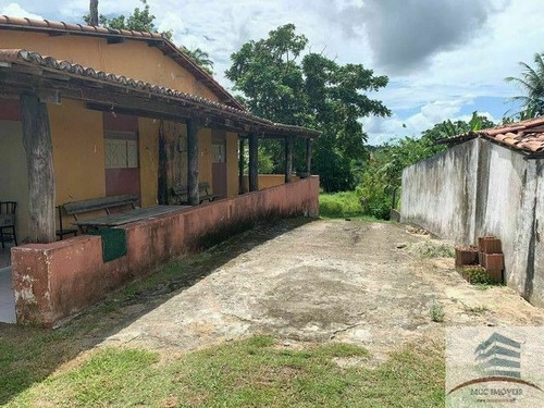 Imagem 5 de 6 de Granja A Venda Massaranduba, São Gonçalo Do Amarante