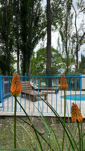 Alquiler De Cabañas En Potrerillos