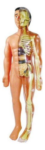 Juego Educativo Para Armar Cuerpo Humano Anatomía 28cm 