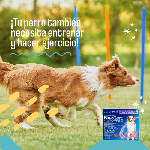 Nexgard Spectra 3 Comp Perros 15,1 A 30 Kg Pulgas Garrapatas