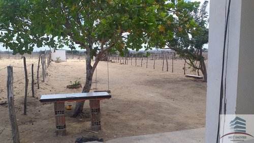 Imagem 13 de 14 de Granja A Venda Em Tangará