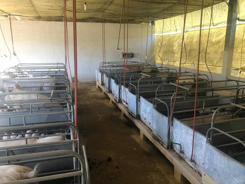 Imagem 5 de 8 de Fazenda À Venda, 399300 M² Por R$ 4.400.000 - Boa Vista - São Miguel Arcanjo/sp - Fa0001